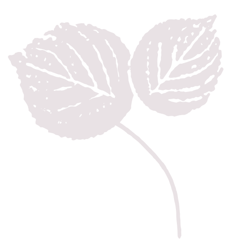 leaves image png